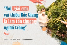 "Nói giải cứu vải thiều Bắc Giang là làm tổn thương người trồng"