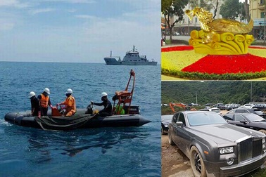 9 thuyền viên tử nạn trên biển,  rùa vàng 10 tấn bên Hồ Gươm