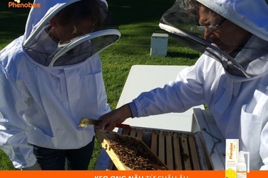 Xu hướng sử dụng kháng sinh tự nhiên của người Việt