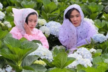 Khách hủy tour vì ảnh Đà Lạt ngập lụt, chủ khách sạn "khóc ròng"