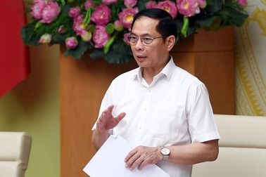 Phó Thủ tướng: "Vụ sữa giả, thuốc giả nghiêm trọng và gây bức xúc"