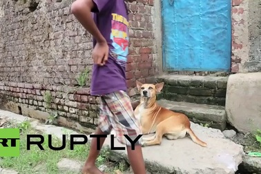 Cậu bé 10 tuổi nghiện... bú sữa từ chó