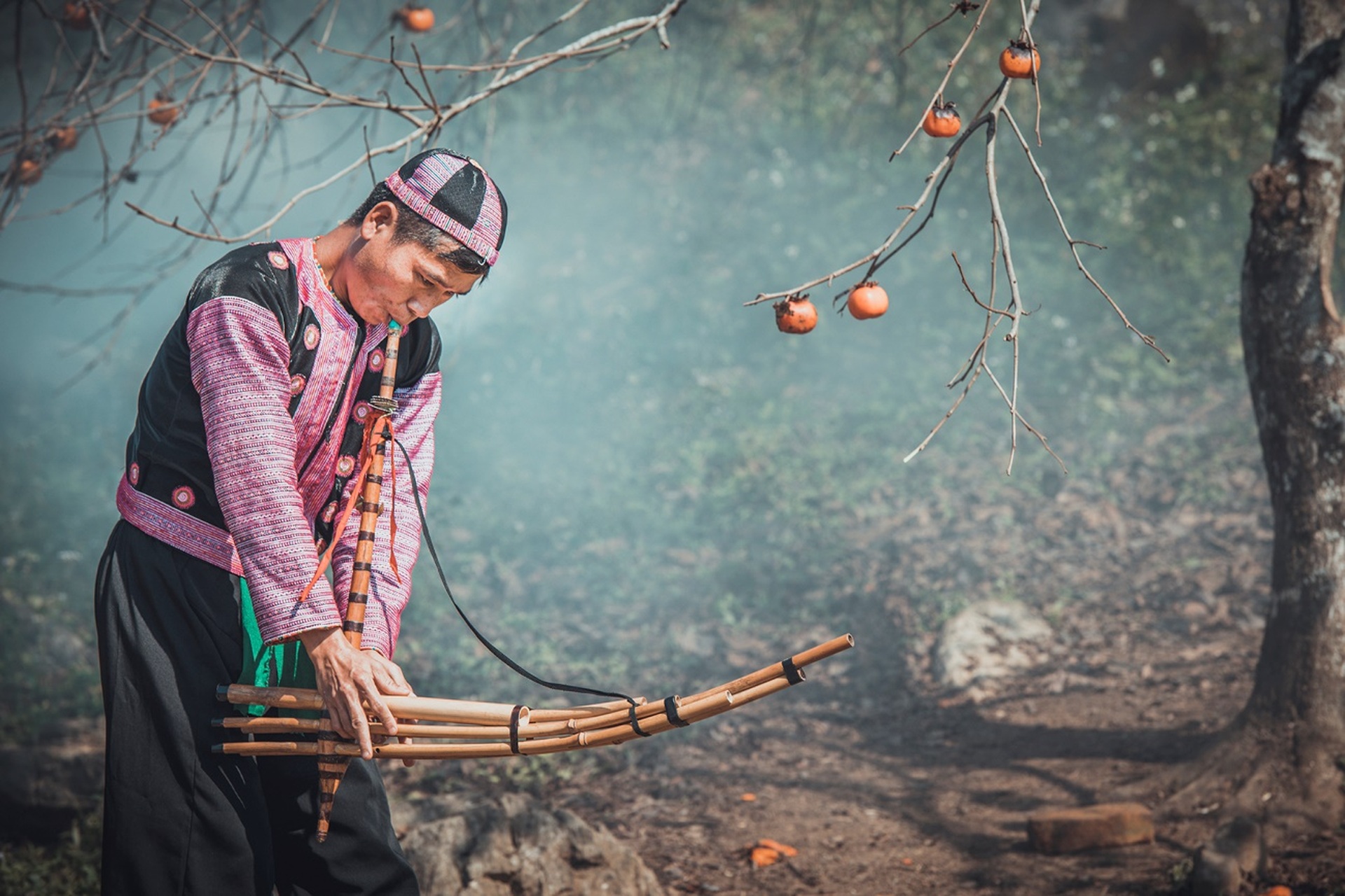 Hoa mận nở trắng trời đẹp như cổ tích ở Mộc Châu - 11