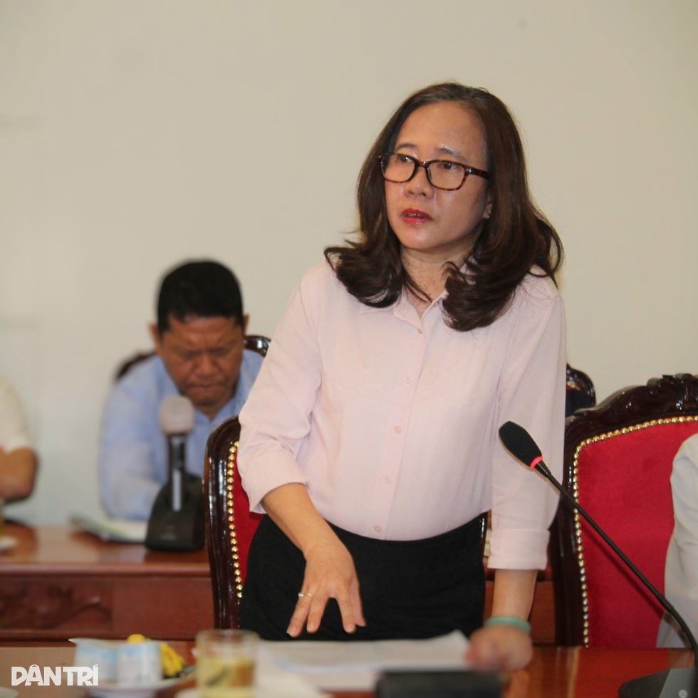 Mua bán người núp bóng đẻ thuê, nhận con nuôi - 6