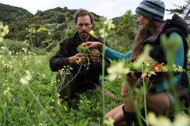 Vợ chồng "Robinson hiện đại" vào rừng săn bắt, hái lượm như thời tiền sử