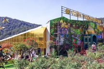 Làm rõ "Vườn thượng uyển" không phép mọc trên đất rừng phòng hộ