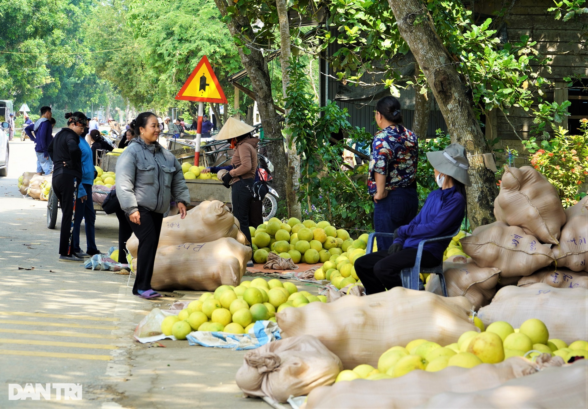 Phiên chợ có một không hai, chỉ bán đệ nhất danh quả - 9