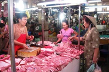 Giá lợn 10.000 đồng/kg, Hà Nội sẽ tiêu diệt bớt lợn nái