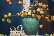 Chị em lùng mua cành hồng trĩu quả Tây Bắc, dân buôn "hốt bạc"