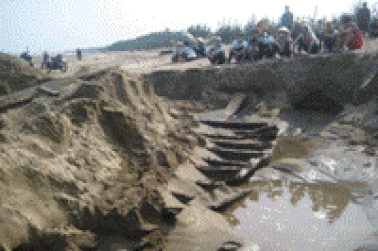 Tàu tìm thấy dưới cát được làm bằng gỗ quý