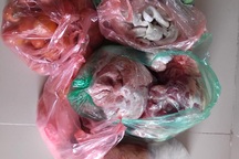 Đắt hơn bò Mỹ, dân Thủ đô đụng lợn ăn chung như thời bao cấp