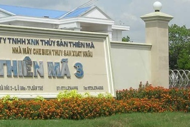 Bị xiết nợ, đại gia mất 3 biệt thự