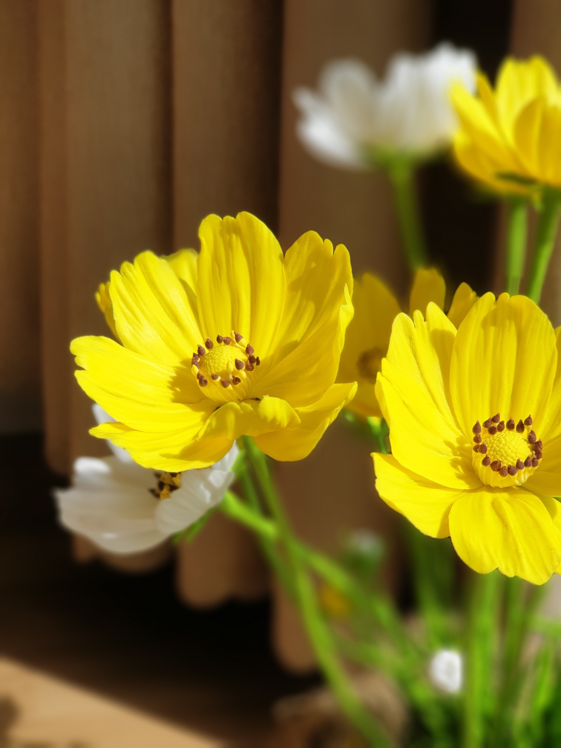 Người phụ nữ ở TPHCM làm hoa đất sét sống động như thật - 4