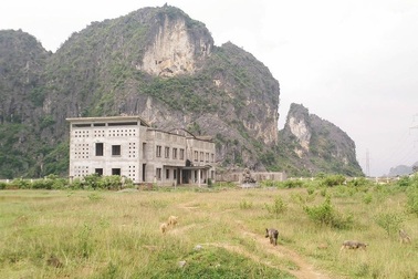 Dự án nhà máy xi măng nghìn tỷ “biến” thành nơi nuôi gia súc!