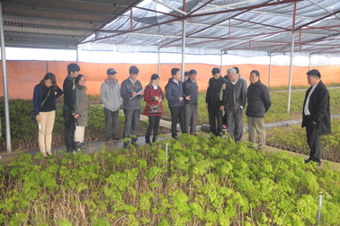 Giải pháp cho dược liệu Việt - Liên kết cùng phát triển?