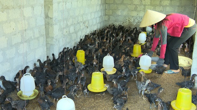 Thu nhập bình quân của người nghèo tăng 2,3 lần - Ảnh 1. Thu nhập bình quân của người nghèo tăng 2,3 lần - Ảnh 1.