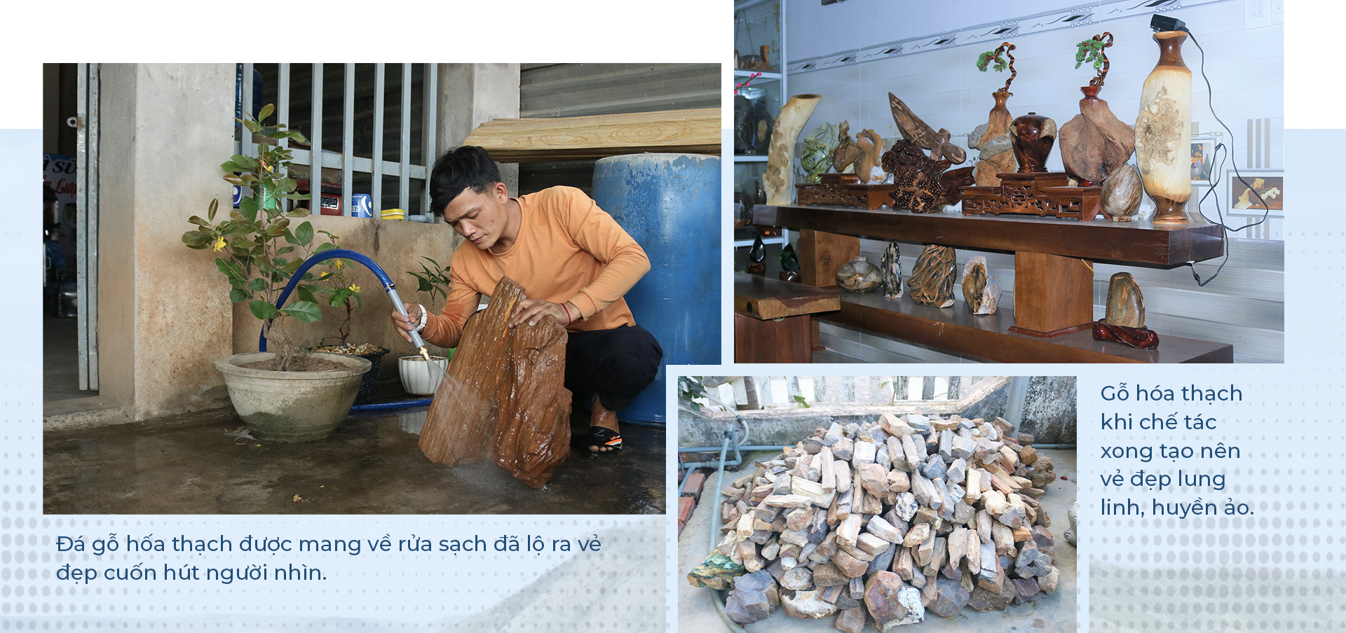Bí ẩn về vương quốc gỗ hóa thạch trên cao nguyên Gia Lai - 13 Bí ẩn về vương quốc gỗ hóa thạch trên cao nguyên Gia Lai - 13