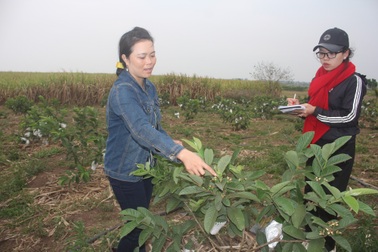 Người phụ nữ trẻ với ý chí giúp bà con làm giàu