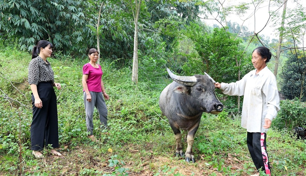 Cầu nối để hội viên phụ nữ thoát nghèo - 1 Cầu nối để hội viên phụ nữ thoát nghèo - 1