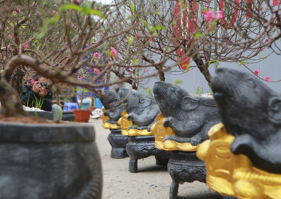 Độc đáo “chuột đá cõng đào bonsai” giá bạc triệu hút khách dịp tết - 4 Độc đáo “chuột đá cõng đào bonsai” giá bạc triệu hút khách dịp tết - 4