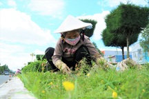 Công nhân "làm đẹp" đô thị: Mùa dịch có việc làm đã là may mắn