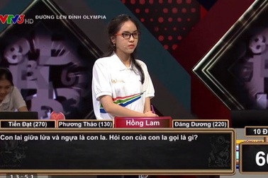 3 câu hỏi "tưởng hại não hóa ra dễ không tưởng" làm khó thí sinh Olympia