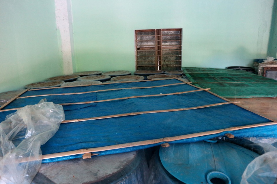 Người phụ nữ hơn 30 năm xây dựng thương hiệu mắm truyền thống - 5 Người phụ nữ hơn 30 năm xây dựng thương hiệu mắm truyền thống - 5