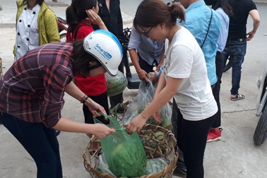 Bạn trẻ xứ Thanh “đội nắng” bán dưa hấu giúp bà con Quảng Ngãi