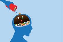 Tìm ra "cửa ngõ" để đưa thuốc vào não