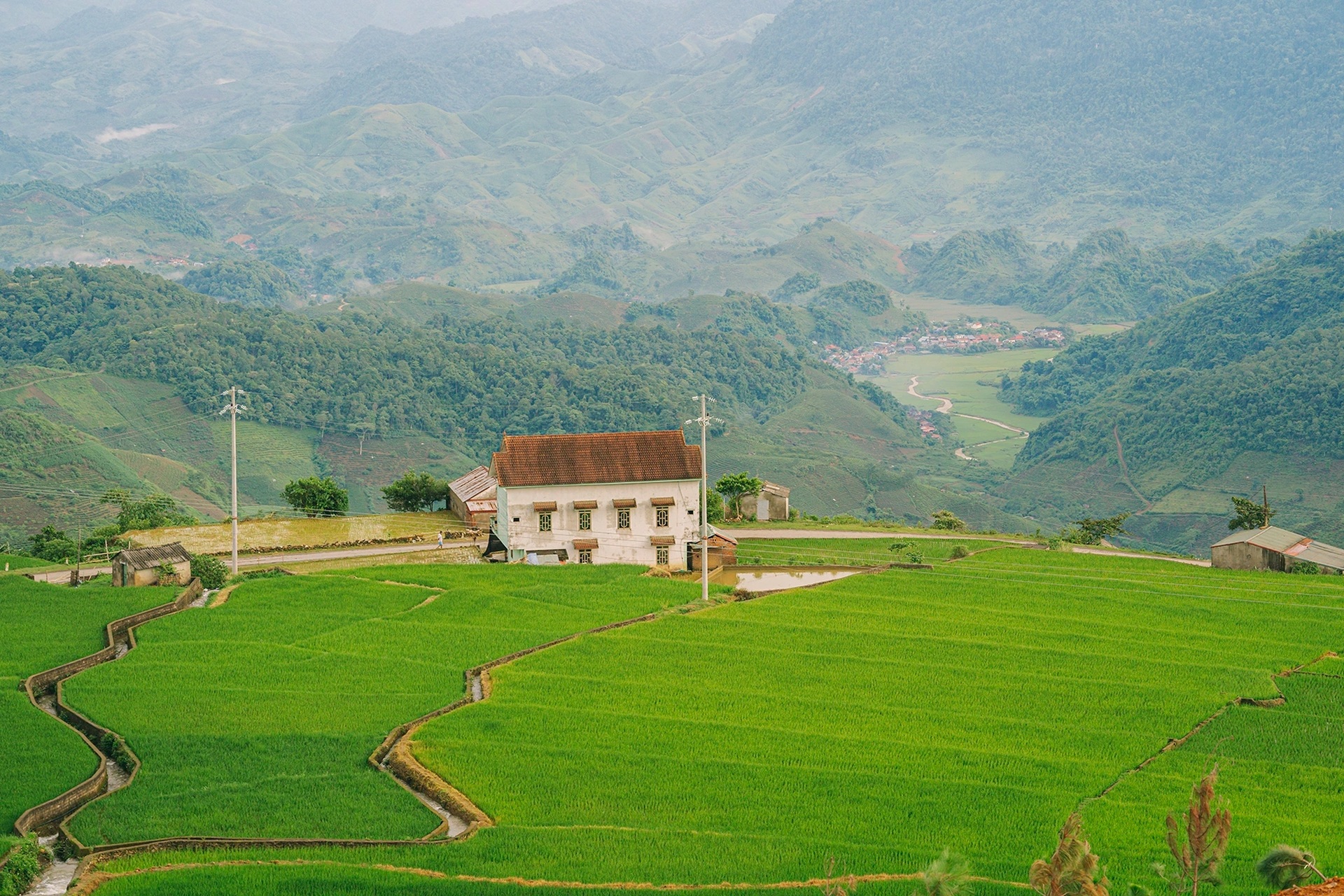 Du lịch Mộc Châu, khách mê mẩn chụp ảnh, săn mây ở đồi sim - 1 Du lịch Mộc Châu, khách mê mẩn chụp ảnh, săn mây ở đồi sim - 1
