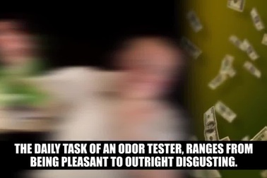 Những công việc kỳ quặc nhất hành tinh