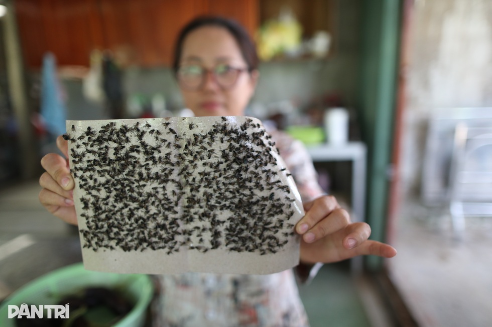 Ô nhiễm rác ở miền Tây: Dân chặn xe, treo băng rôn, than trời vì núi rác - 12 Ô nhiễm rác ở miền Tây: Dân chặn xe, treo băng rôn, than trời vì núi rác - 12
