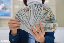 USD "chợ đen" đắt kỷ lục so với ngân hàng, tiến sát 24.000 đồng/USD