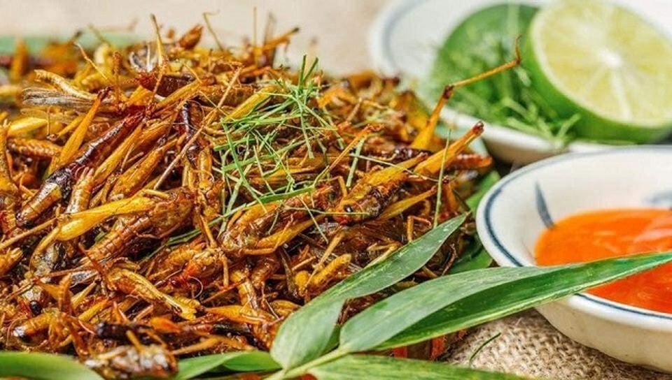 “Tôm bay” giá 250.000 đồng/kg được săn lùng, dân buôn bán cả tạ mỗi ngày - 5 “Tôm bay” giá 250.000 đồng/kg được săn lùng, dân buôn bán cả tạ mỗi ngày - 5