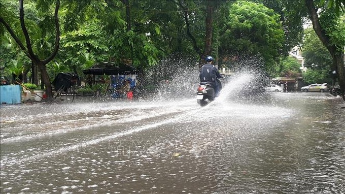 Ảnh minh họa