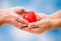 Hai người Việt muốn hiến một phần phổi cho phi công mắc Covid-19 nguy kịch