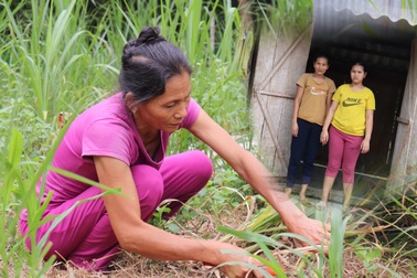 Nỗi đau xé lòng của người mẹ nuôi con gái khờ khạo bị kẻ xấu xâm hại