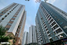 Đẩy nhanh tiến độ xây dựng văn bản thi hành 4 luật có hiệu lực từ 1/8