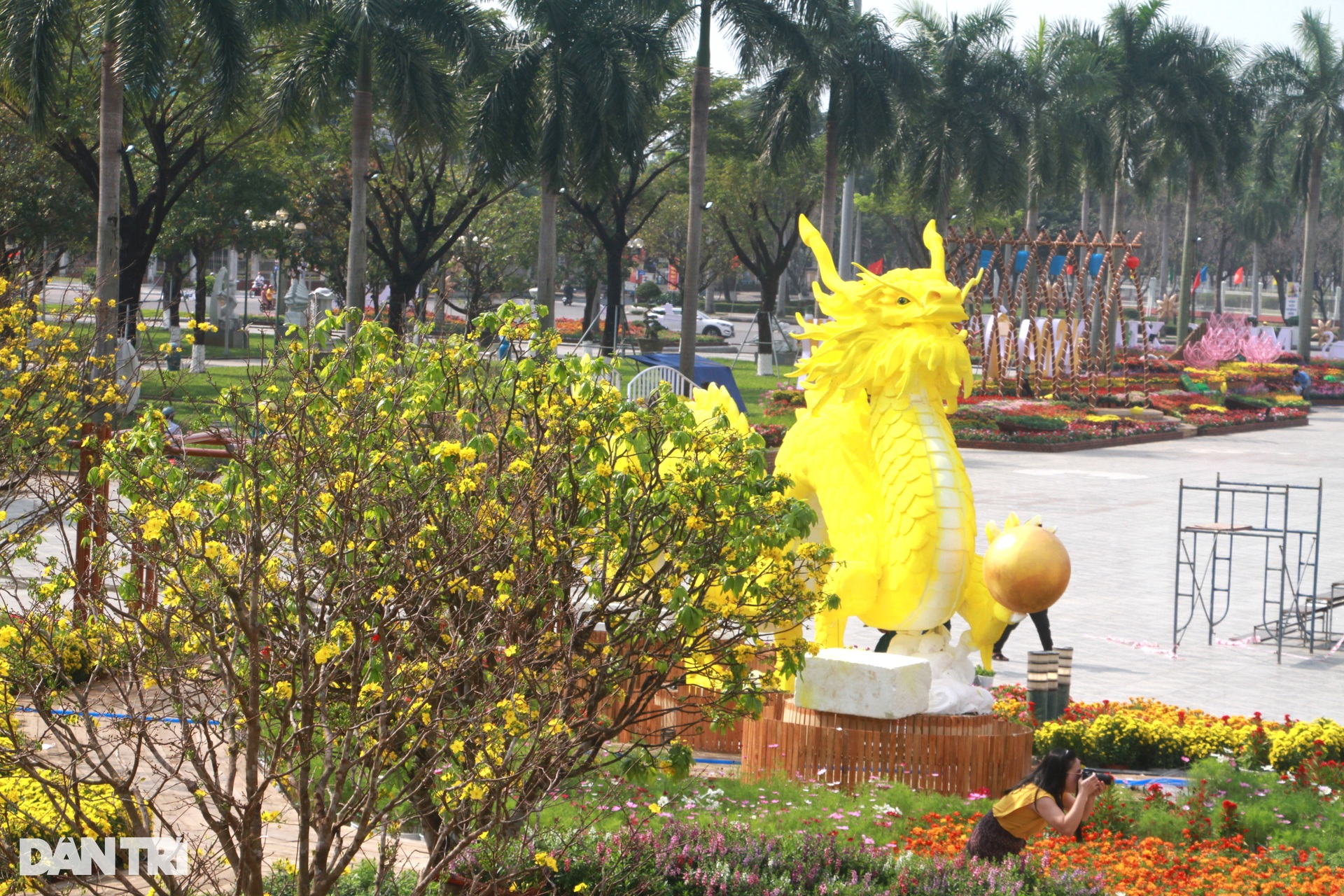 Hình ảnh linh vật rồng nhận mưa lời khen ở Quảng Nam - 6 Hình ảnh linh vật rồng nhận mưa lời khen ở Quảng Nam - 6