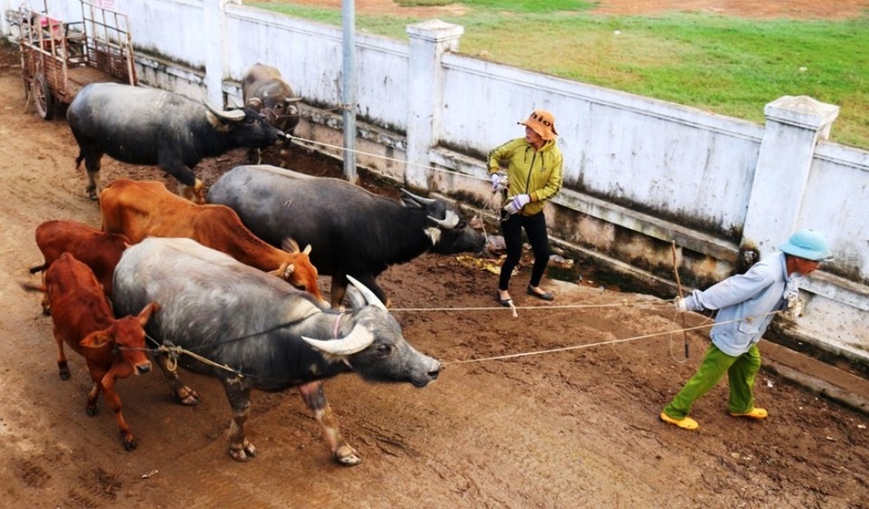 Độc đáo phiên chợ chọn con đầu cơ nghiệp - 5 Độc đáo phiên chợ chọn con đầu cơ nghiệp - 5