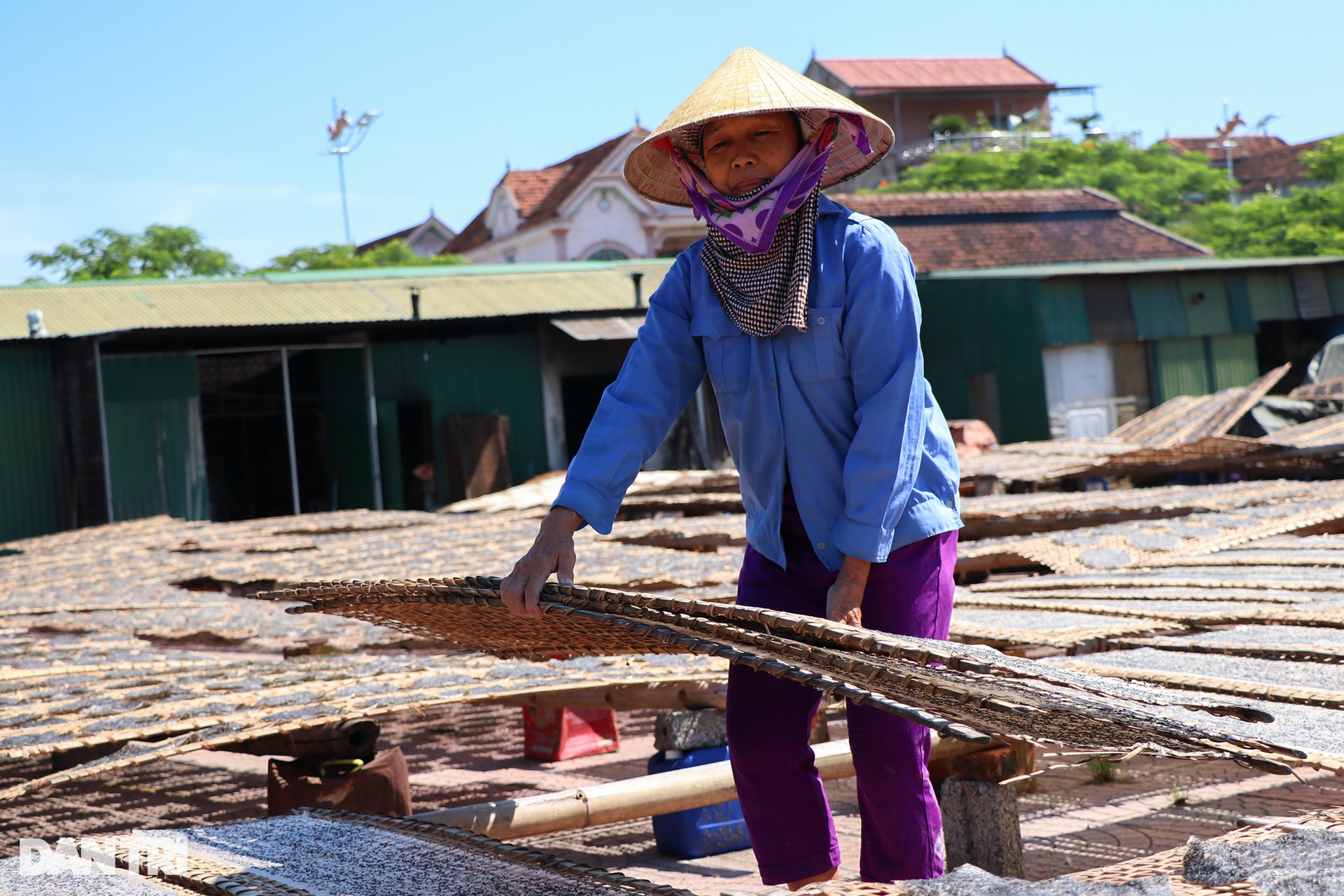 Where women heat the kitchen and dry in the sun to create cakes that bring in 4.5 billion VND per year - 10