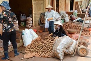 Cấm cửa nông sản Trung Quốc núp bóng hàng Việt