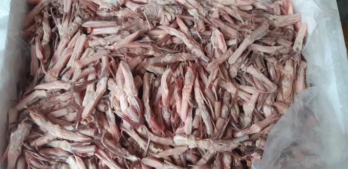 Cẩn trọng nuốt phải đặc sản lưỡi vịt, trứng gà non được nhập lậu đồ đông lạnh dịp cuối năm - Ảnh 2. Cẩn trọng nuốt phải đặc sản lưỡi vịt, trứng gà non được nhập lậu đồ đông lạnh dịp cuối năm - Ảnh 2.