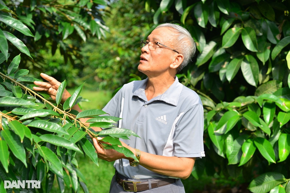 Trồng “cây tỷ đô”, cụ ông 75 tuổi có thu nhập khiến người trẻ nể phục