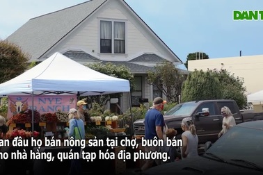 Vợ chồng cải tạo đất cằn thành nông trại hoa rực rỡ bên bờ biển