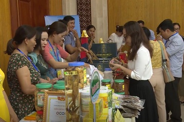 Gần 200 sản phẩm tiêu biểu tham gia kết nối cung cầu hàng Việt Nam