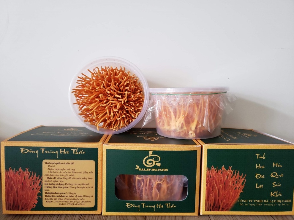 Đông trùng hạ thảo công nghệ Nhật Bản được nhiều người yêu thích - 3 Đông trùng hạ thảo công nghệ Nhật Bản được nhiều người yêu thích - 3