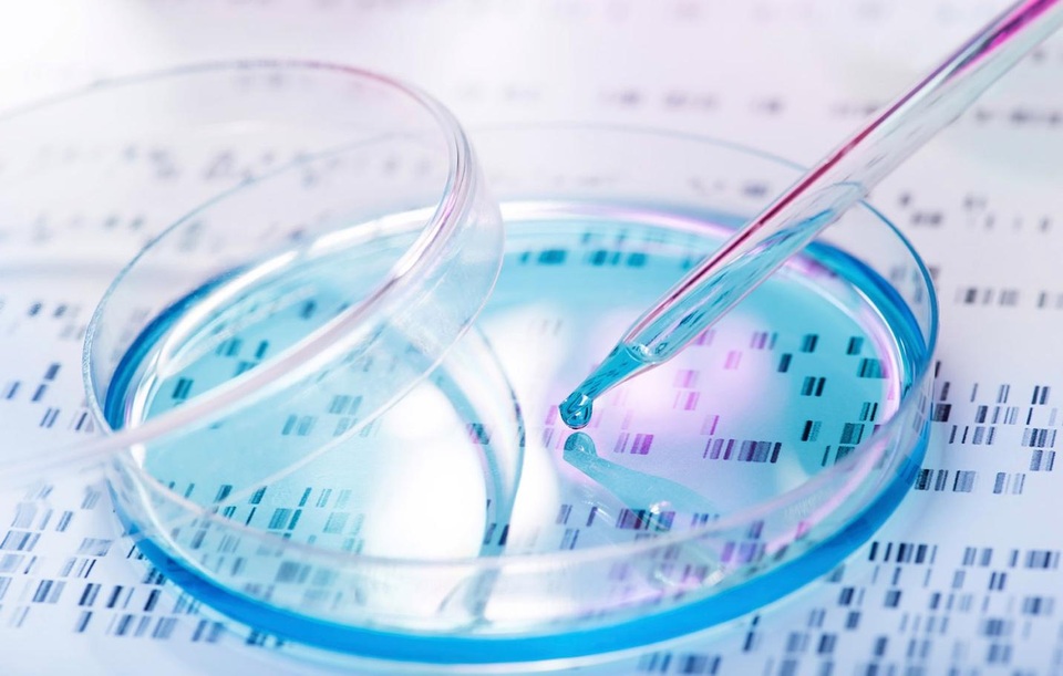 Hệ thống chỉnh sửa gene mới có thể xóa sổ nhiều loại ung thư - 1 Hệ thống chỉnh sửa gene mới có thể xóa sổ nhiều loại ung thư - 1