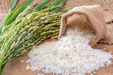 Thủ tướng chỉ đạo giải pháp ứng phó biến động thị trường gạo