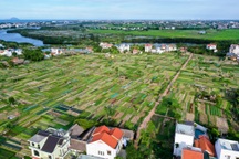 Trải nghiệm tại làng rau 400 năm tuổi vừa được công nhận di sản quốc gia